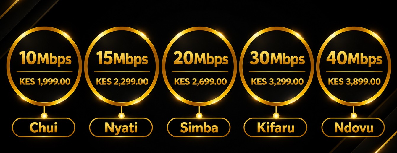 Internet packages - Chui 10Mbps, Nyati 15Mbps, Simba 30Mbps, Kifaru 50Mbps, Ndovu 100Mbps